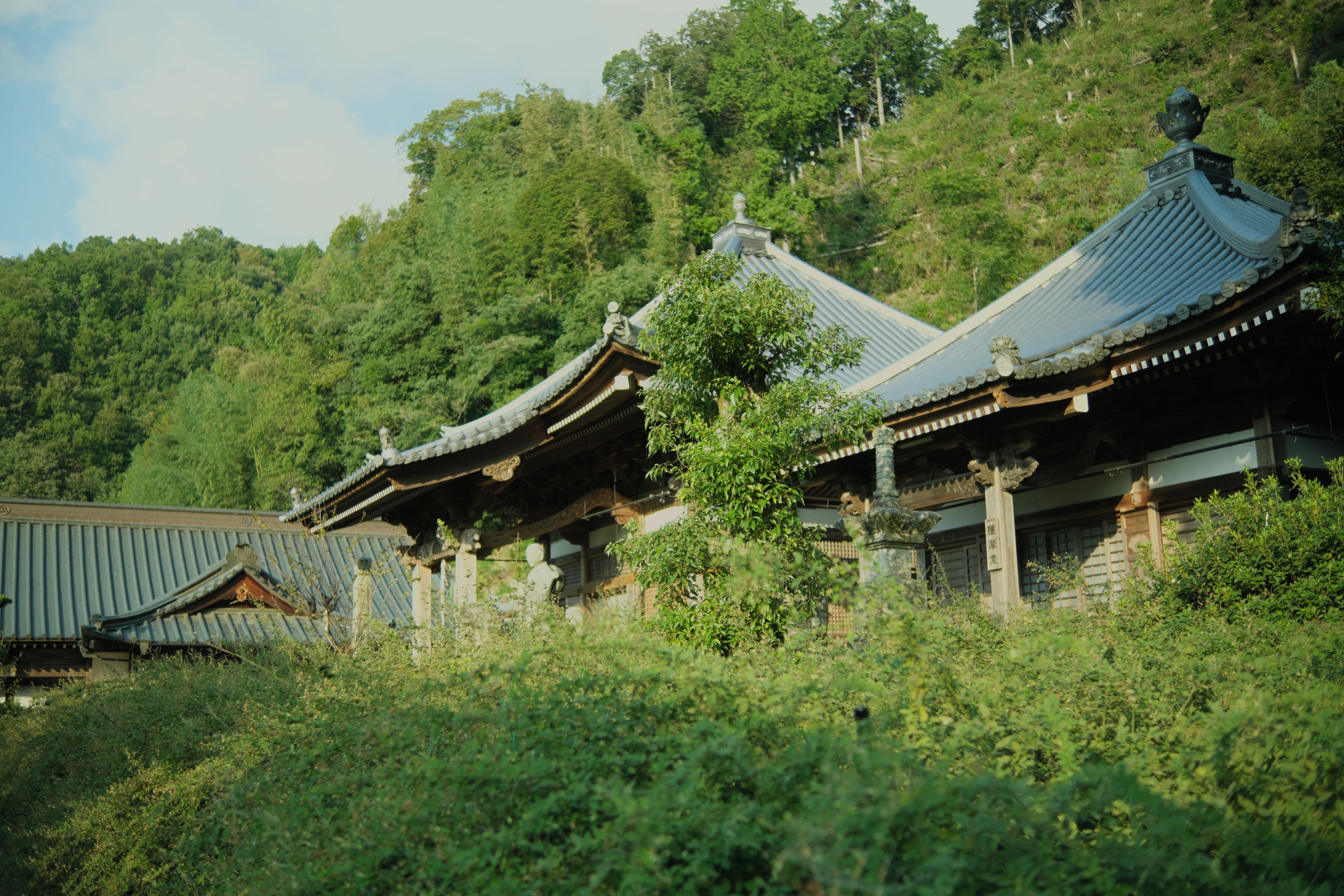 dscf3451_1-min.jpg